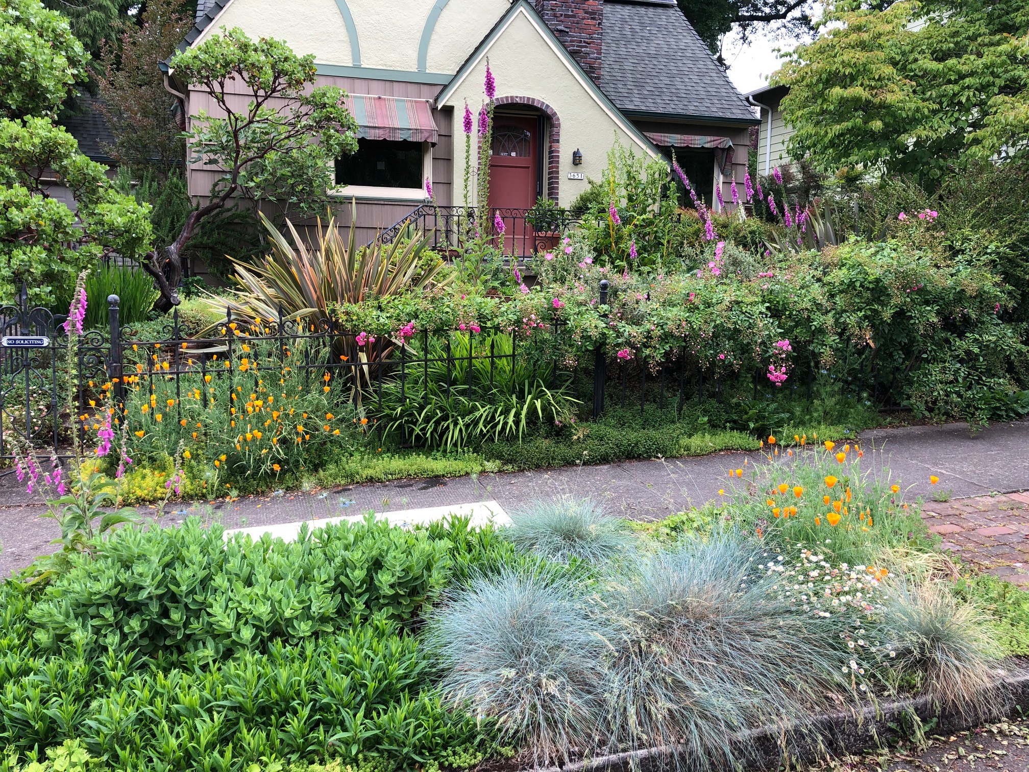 Plantings – Donna Giguere Landscape Design